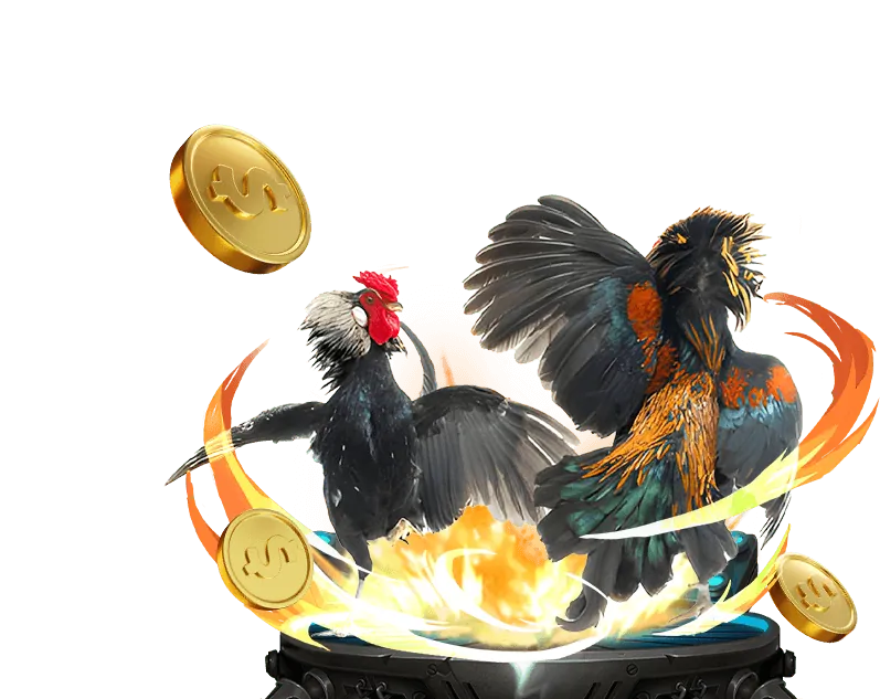 Bước 4: Bắt Đầu Cá Cược & Nhận Thưởng